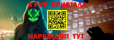 кокс Кингисепп