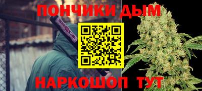 шишки Кимры